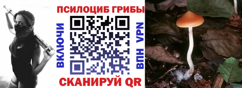 Галлюциногенные грибы MAGIC MUSHROOMS  Купить  Славск 